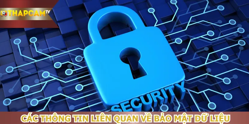 cac-thong-tin-lien-quan-ve-bao-mat-du-lieu-tai-website