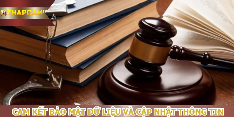 cam-ket-bao-mat-du-lieu-va-cap-nhat-thong-tin