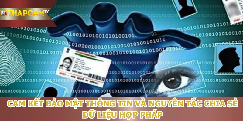 cam-ket-bao-mat-thong-tin-va-nguyen-tac-chia-se-du-lieu-hop-phap