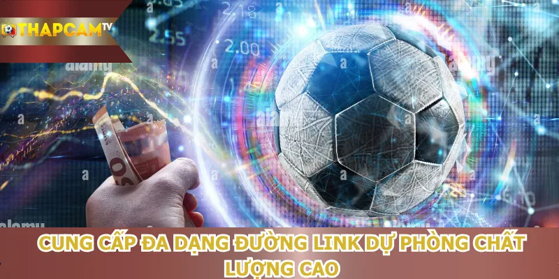 cung-cap-da-dang-duong-link-du-phong-chat-luong-cao