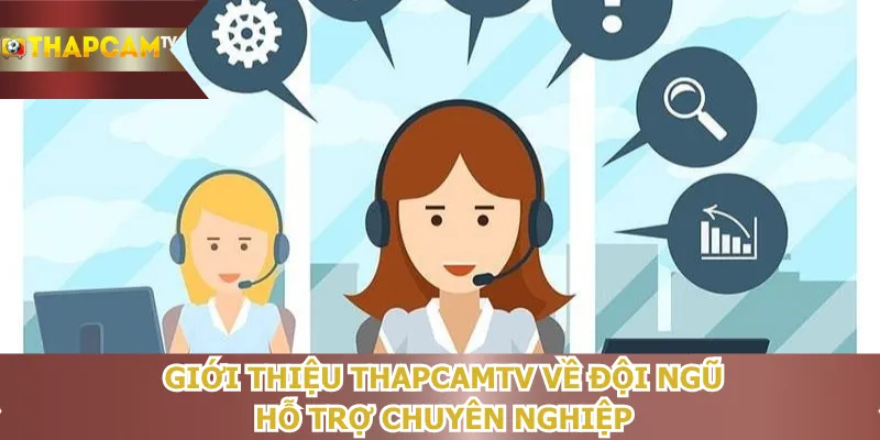 gioi-thieu-thapcamtv-ve-doi-ngu-ho-tro-chuyen-nghiep