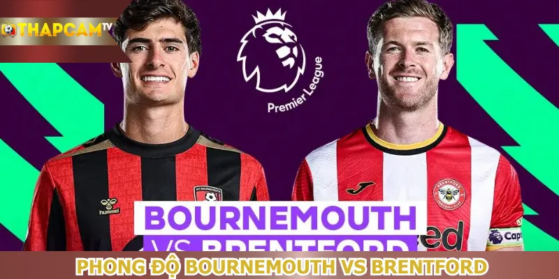 phong-do-bournemouth-vs-brentford
