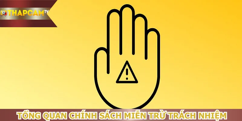 tong-quan-chinh-sach-mien-tru-trach-nhiem