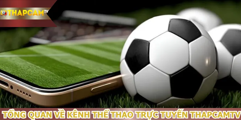 tong-quan-ve-kenh-the-thao-truc-tuyen-thapcamtv